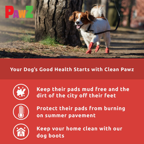 Pawz Dog - Red Dog Boots 2