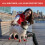 Pawz Dog - Red Dog Boots 4