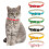 Yorgewd 6 Pack Leather Cat Collars with Removable Bell Polished Durabl 1