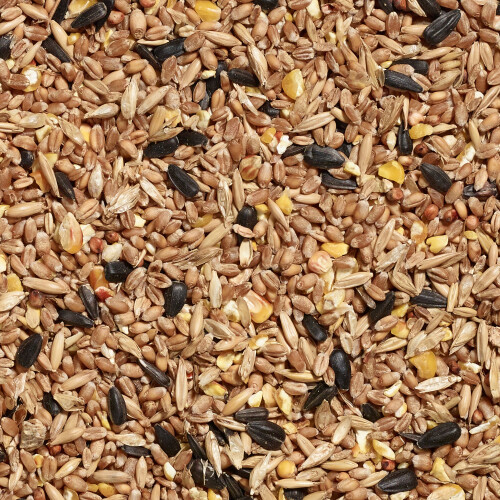 Gardman Gardman Seed Mix for Wild Birds, 4 kg 2