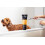 Animology Curly Coat Dog Shampoo 2.5 Litre 2