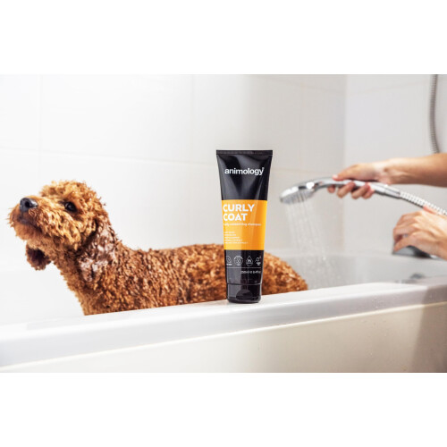 Animology Curly Coat Dog Shampoo 2.5 Litre 1