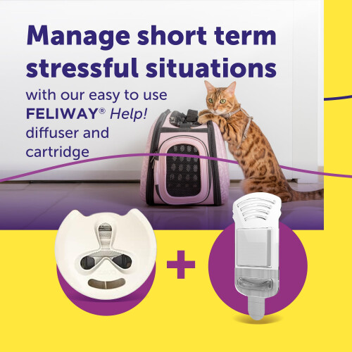 Feliway FELIWAY Help! 7 Day Cat Calming Odourless Plug In Pheromone Diffuser S 2
