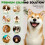 Dog Calming Pheromones Diffuser Kit, Dog & Cat Anxiety Relief Diffuser 4