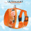 SCENEREAL Small Dog Harness Collar and Leash Set, Leaf Fall Adjustable 6