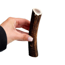 Antler Chew Antler Dog Chews Medium Plus (100-130g, From 14cm) Sanded,
