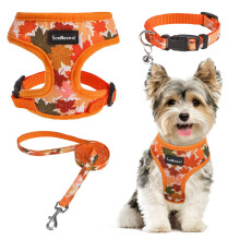 SCENEREAL Small Dog Harness Collar and Leash Set, Leaf Fall Adjustable
