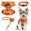SCENEREAL Small Dog Harness Collar and Leash Set, Leaf Fall Adjustable 1