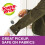 Scotch-Brite Pet Extra Sticky Lint Roller, 48 sheets - Designed for Pe 2