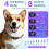 LYtech Bark Collar, Smart Dog Bark Collar for Large Medium Small Dogs 2