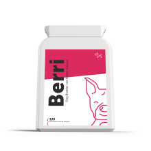 Dog's Lounge - Berri - Advanced Bladder & Kidney Support for Dogs | Su