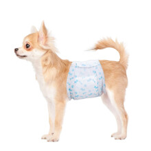 Flying Paws Male Dog Nappies, M-44 Disposable Dog Wraps for Puppy Inco