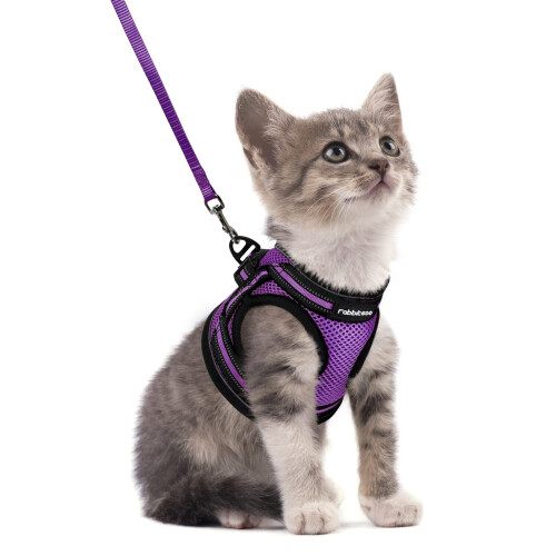 rabbitgoo Cat Harness and Leash Set for Walking Escape Proof, Adjustab
