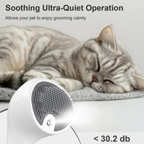 Euqvunn Steam Cat Brush with Release Button, [Ultra-Quiet Design/Comfo 2