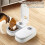 Automatic Cat Feeder,Cat Feeder Automatic With 48H Timer,350ML CaT Foo 5