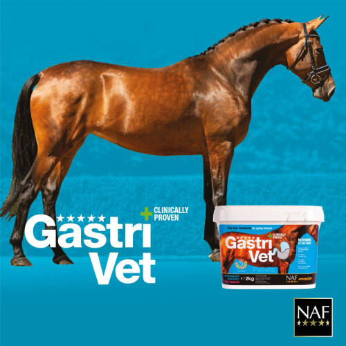 NAF Five Star GastriVet 4kg – Advanced Stomach Support for Horses – Cl 2