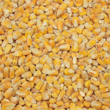 Copdock Mill Whole Maize Chicken Feed, 20kg - Premium Quality Yellow M