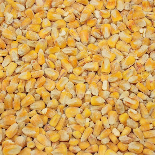 Copdock Mill Whole Maize Chicken Feed, 20kg - Premium Quality Yellow M