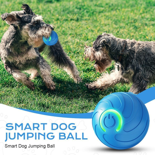 Interactive Pet Ball With LED Flash Light - 360 Automatic Moving Roll 1