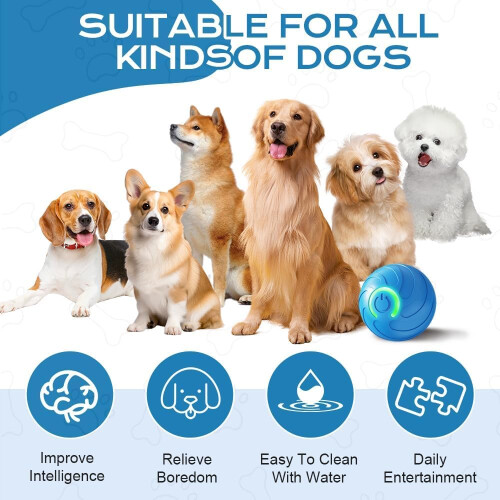 Interactive Pet Ball With LED Flash Light - 360 Automatic Moving Roll 2