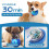 Interactive Pet Ball With LED Flash Light - 360 Automatic Moving Roll 6