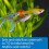 API PROPER pH 7.0 Freshwater Aquarium Water pH Stabilizer 250 g Contai 4