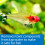 API PROPER pH 7.0 Freshwater Aquarium Water pH Stabilizer 250 g Contai 6