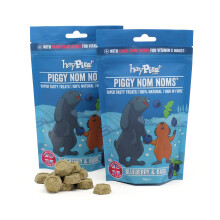 HayPigs Piggy Nom Noms 2 x 70g Blueberry and Basil Natural Guinea Pig