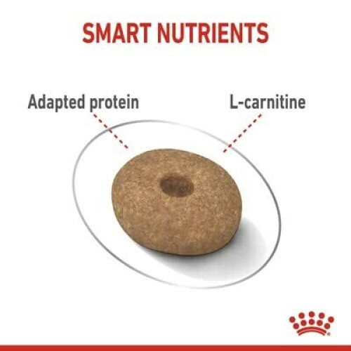 Royal Canin ROYAL CANIN Mini Light Weight Care - 3kg 2