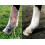 Equinat Aromaheel Mud Ointment - Proven natural ointment which quickly 6