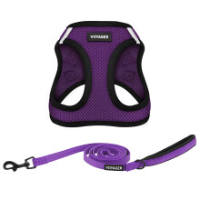 Voyager Step-in Air All Weather Mesh Harness and Reflective Dog 5 ft L