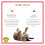 Dr. Elsey's Cat Attract Clumping Clay Cat Litter 18-lb. Bag 4