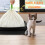 Enviropaws 30 XL Cat Litter Tray Liners | Biodegradable & Compostable 6