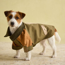 Rosewood x Joules Kennington Coat for Dogs, Small, Washable, Lightweig