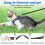 Cat Harness and Lead Set for Walking Escape Proof, Adjustable Kitten V 5