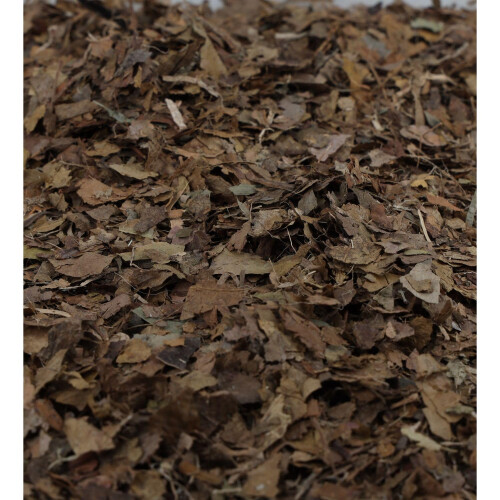 ProRep Leaf Litter Brick 500g | Reptile Substrate | Leaves for Bioacti 1