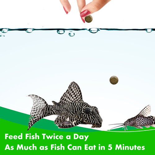 Aquarian AQUARIAN Complete Nutrition, Aquarium Algae Eater Fish Food, Sinking A 2
