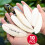 XIANGLONGY 10 Pieces Cuttlefish Bone, Natural Cuttlefish for Birds, 3. 6