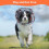 Hjumarayan Soft Dog Cone - Cones after Surgery Soft, Buster Collars fo 5