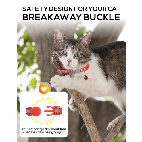 TagME Cat Collar with Name Tag, Personalised Quick Release Kitten Coll 1