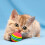 Cobee Rainbow Cat Toy, 12 Pieces Large 3.5 CM Interactive Ball for Kit 2