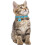 Personalised Engraved Dog Tag | Cat Tag | ID Tag for Pets | Stainless 3