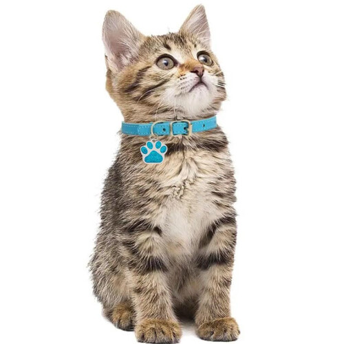 Personalised Engraved Dog Tag | Cat Tag | ID Tag for Pets | Stainless 2