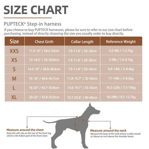 PUPTECK Dog Harness Small Dog with Collar and Lead Set Step-in No Pull 1