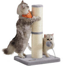 Feandrea Cat Scratching Post, 53 cm Tall Cat Scratcher for Kittens, Sm