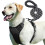 PetBuds Adjustable No Pull Dog Harness with Free 5ft Leash, Breathable 1
