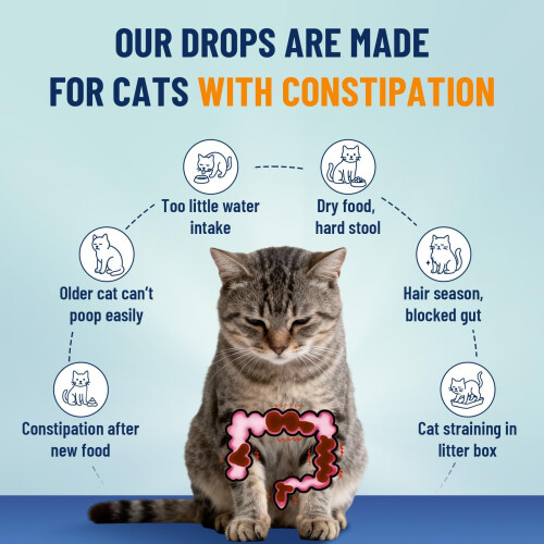 Constipation Relief for Cats, Cat Constipation Treatment for Kittens & 2