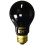 Exo Terra Night Heat Lamp 75w 1