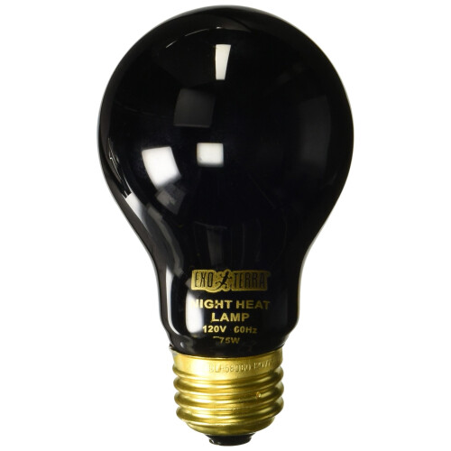 Exo Terra Night Heat Lamp 75w