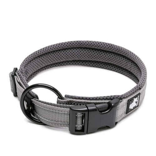 WINHYEPET True Love Dog Collar Reflective Sandwich lining Nylon Webbin